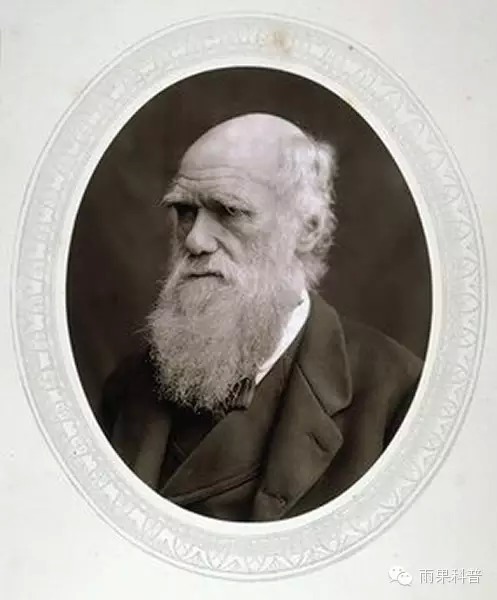 “进化论之父”查尔斯·罗伯特·达尔文