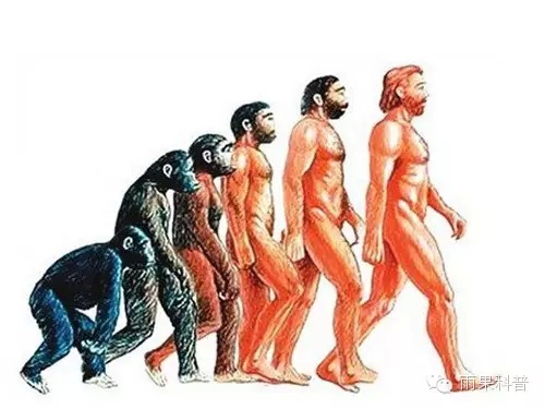 “进化论之父”查尔斯·罗伯特·达尔文