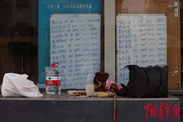 在上海电话亭住了一个月的女人是谁(对话上海“电话亭女士”：我这个人活得很简单)